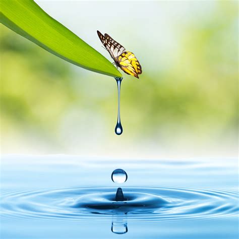 滴水|滴水 : water drop, dri... : dī shuǐ 